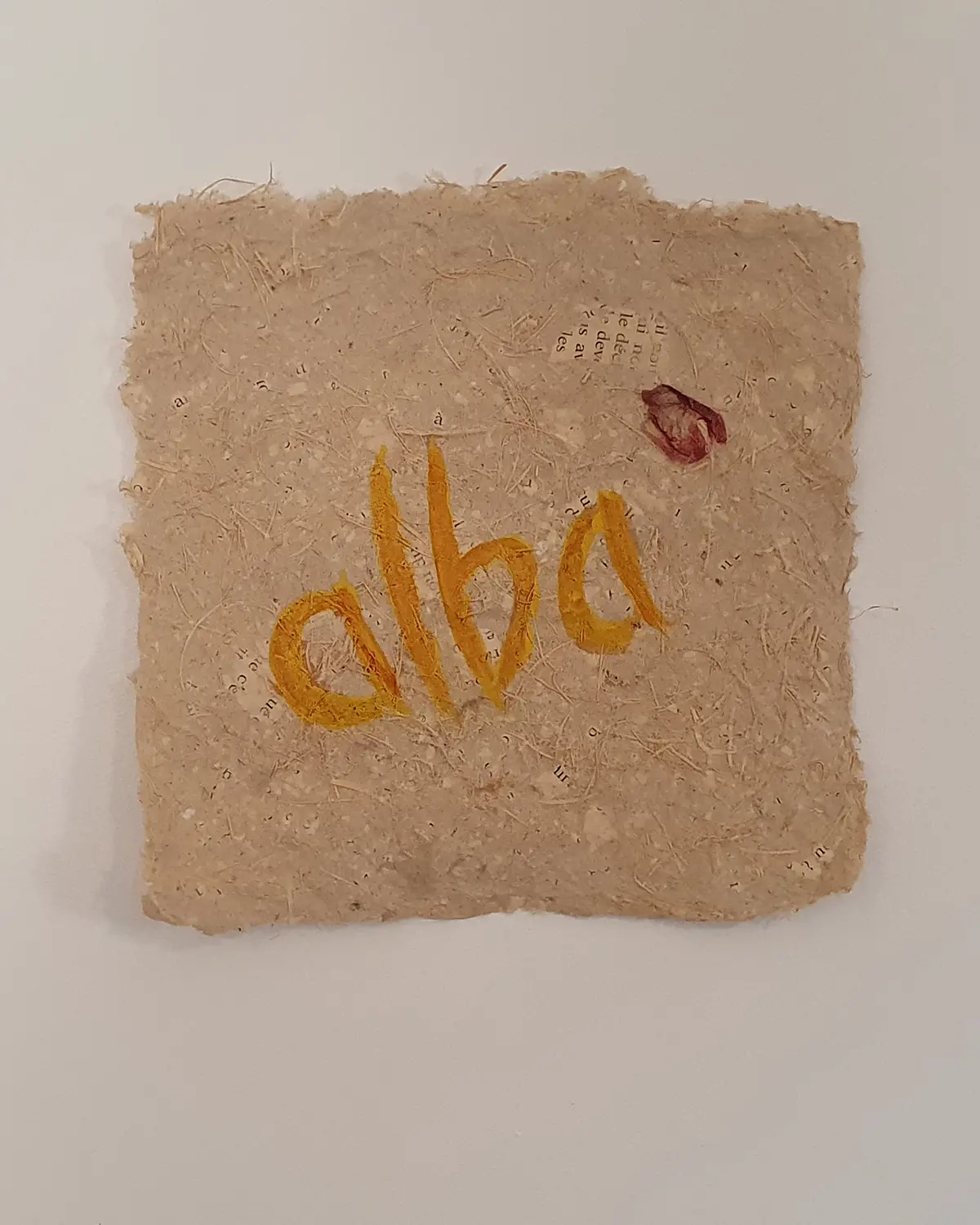 chambre d'hôtes alba