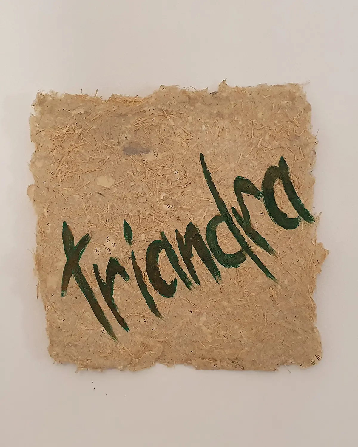 chambre d'hôtes triandra a calvignac