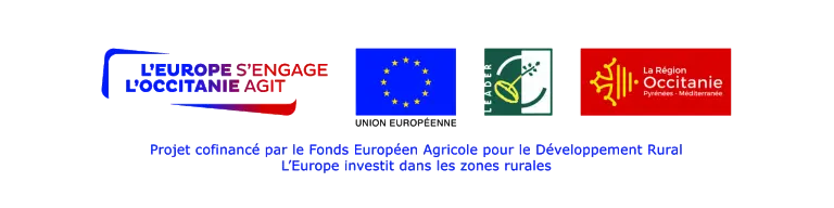 logos subvention leader region europe