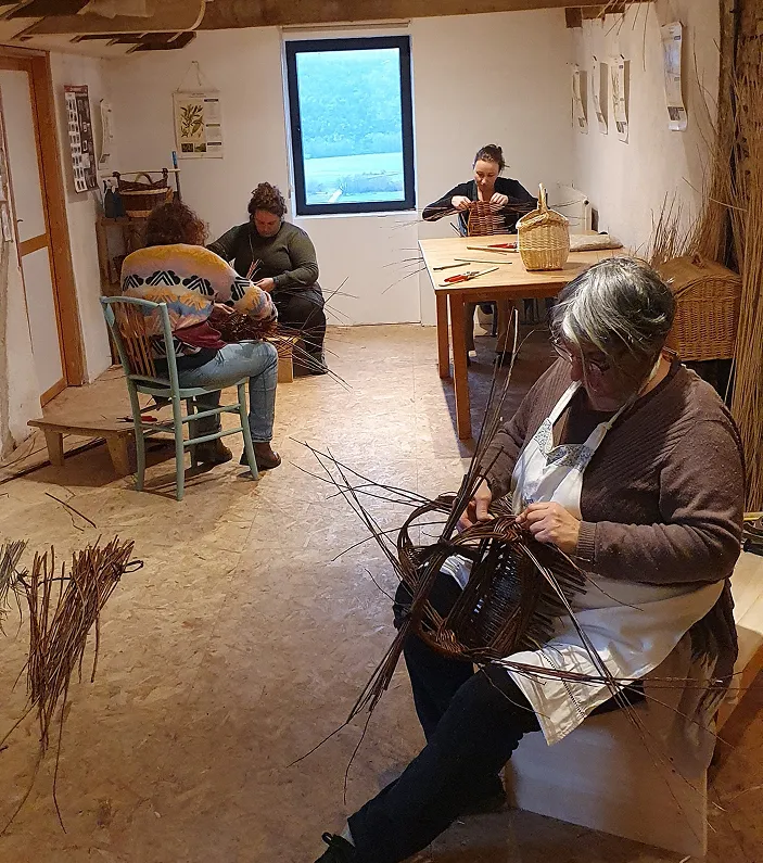 stages de vannerie en Occitanie, stage d'initiation à la vannerie en petit groupe de 4 personnes.