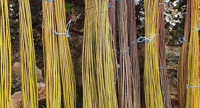 stage vannerie osier lot