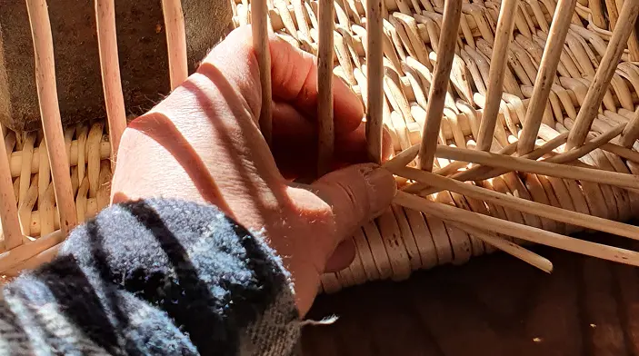 tressage panier en osier