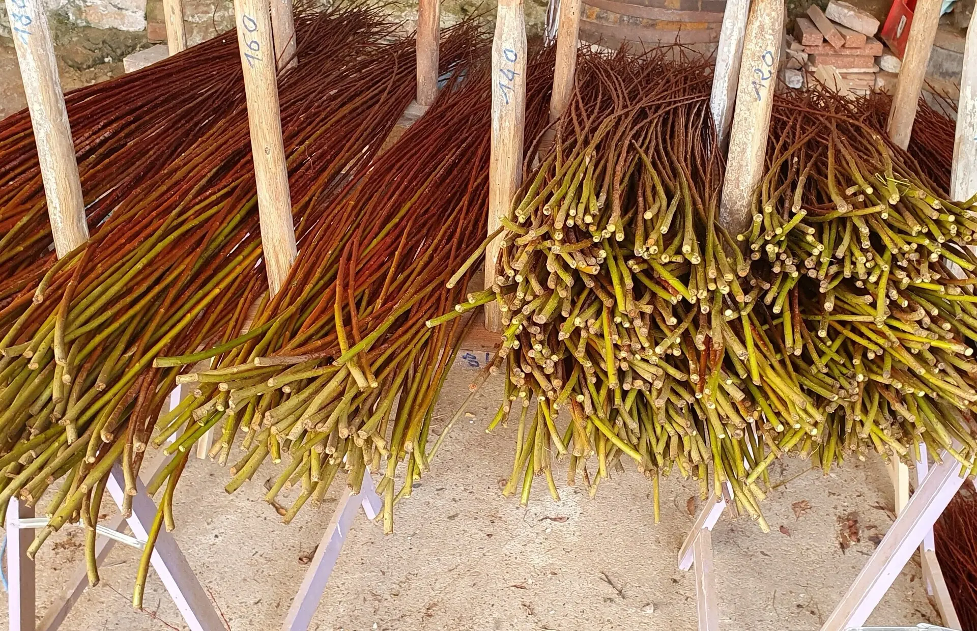 vente osier lot producteur osier calvignac