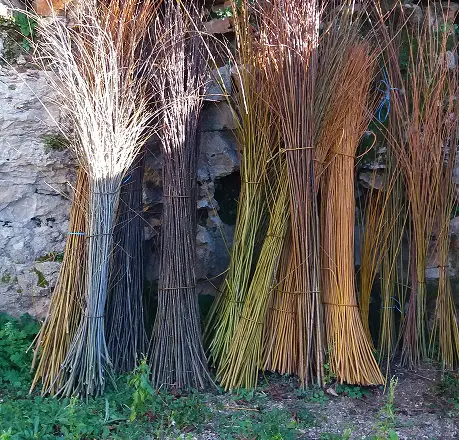 L'Oseraie du Quercy, producteur d'osier Lot et vente d'osier dans le Lot